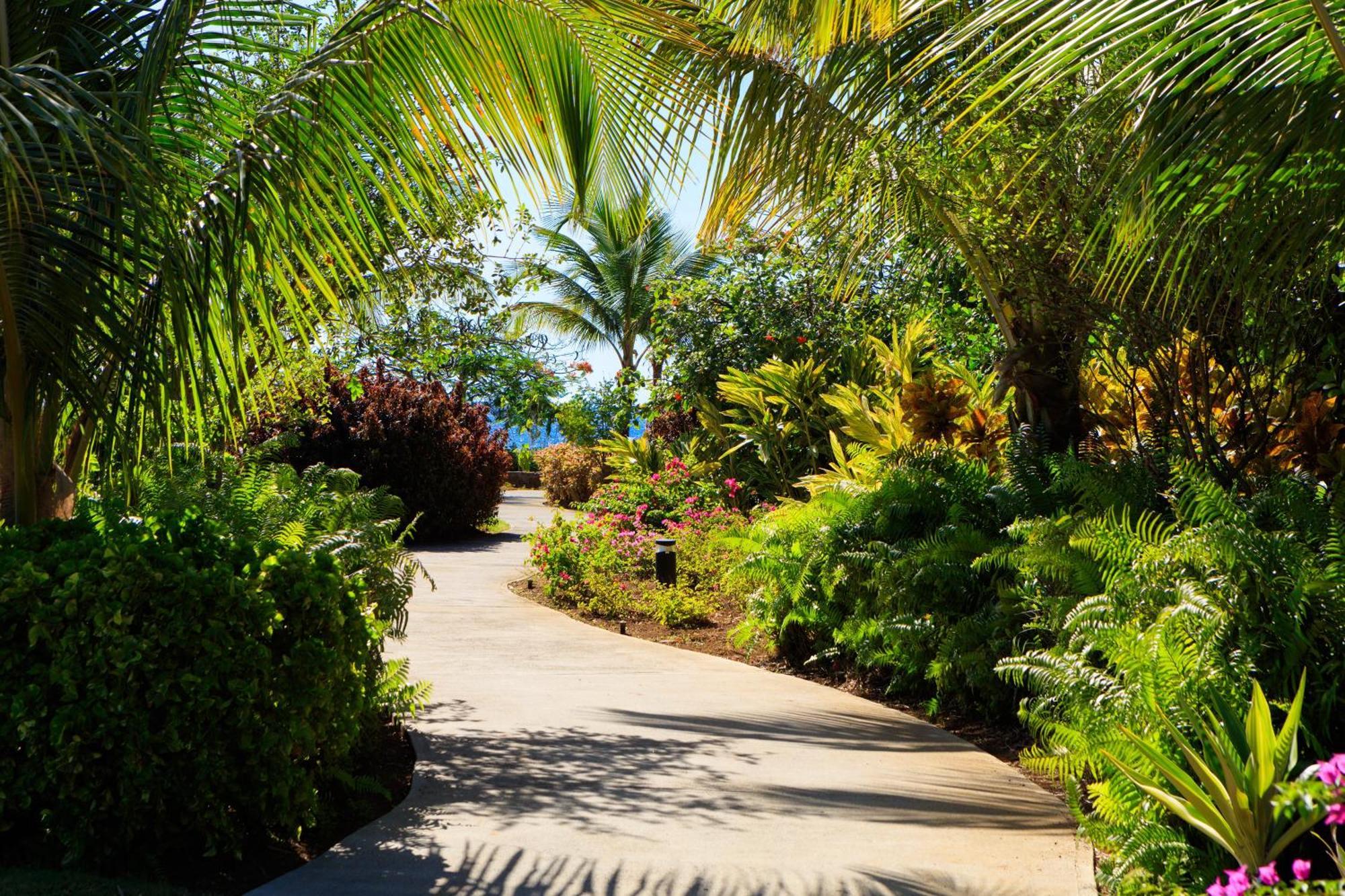 Intercontinental Dominica Cabrits Resort & Spa By Ihg Portsmouth 外观 照片